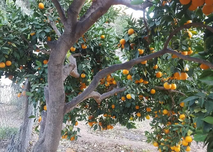 Casa Reyes Apta Reyes 度假居 *