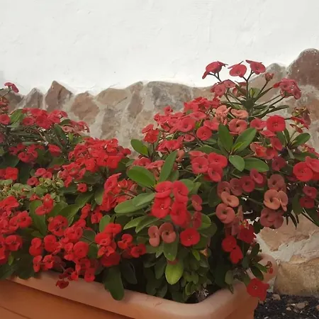 Casa Reyes Apta Reyes * Fátaga